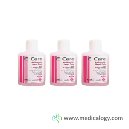 harga E-CARE ALCOHOL RUB 100 Ml @20 BOTOL Cairan Antiseptika dan Desinfektan