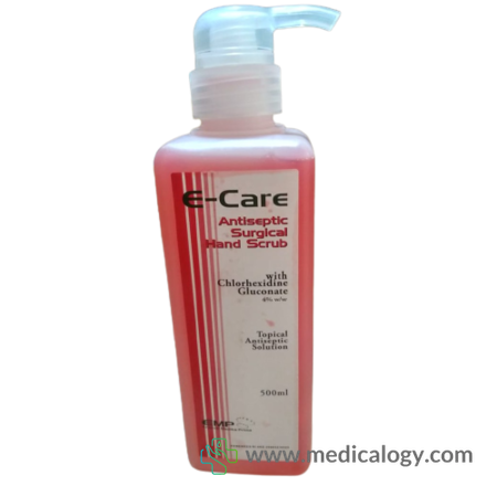 harga E-Care Hand Scrub 10 btl @ 500 ml Cairan Antiseptika