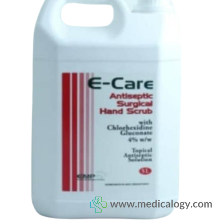 harga E-CARE SURGICAL SCRUB PVD 5 L