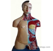 jual Phantom Torso Wanita